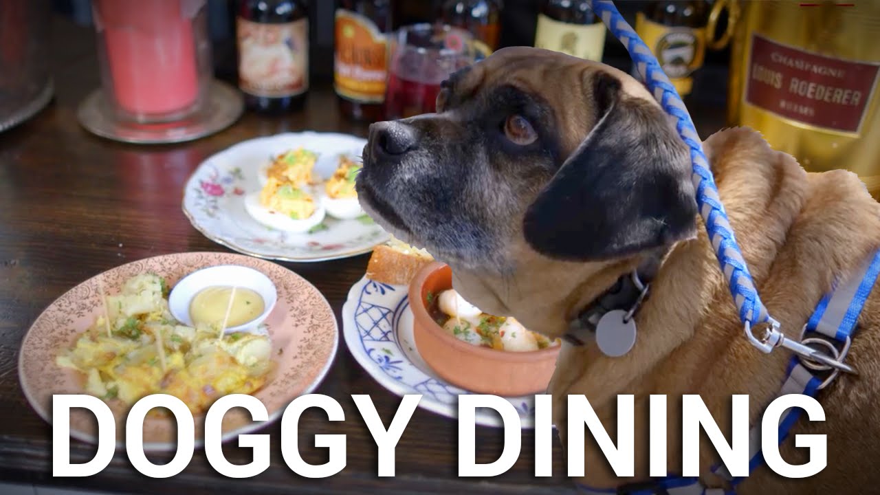 Why Are Dogs Allowed In Restaurants