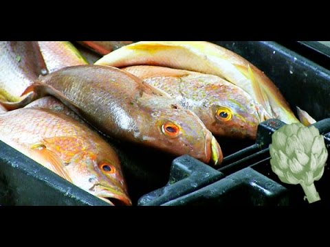 [VIDEO] This Company Gives New York City Restaurants the Freshest Fish