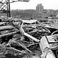 Some of a total of 16 cars left at a pier. Dec. 12, 1984.