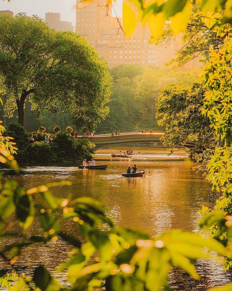 Central Park Lake, New York, New York. Photo via @mc_gutty #viewingnyc #newyork #newyorkcity #nyc #centralpark
