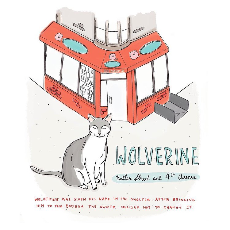 Wolverine // Gowanus, Brooklyn

#brooklynbodegacats #brooklynbodega #brooklyn #catsofinstagram #catillustration #bodegacats #bodegacatsofnyc
