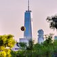 One World Trade Center from Hunter's Point South Park, Queens