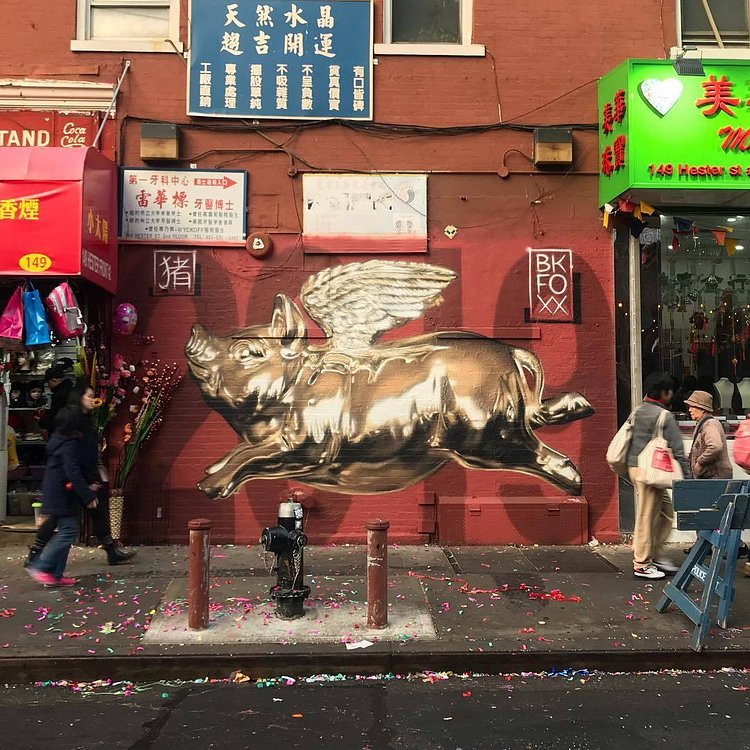 🐷Year of the pig by @bkfoxx #bkfoxx