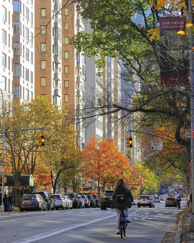 5th Avenue, Upper East Side, Manhattan