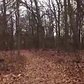2X Timelapse - Kazimiroff Nature Trail at Pelham Bay Park