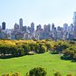 New York City's Green Revolution | The B1M