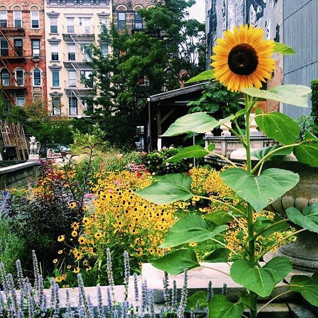 One of my favorite secret spots in NYC is #ElizabethStreetGarden. This little park is filled to the brim with flowers, and statues that feel like they've stepped out of Narnia. It may be tiny, but this little green patch is just the thing when you need a micro-escape from New York. This photo was shot by my friend @cestchristine, who  is an NYC park aficionado. #TheArtOfTraveling - @maeverz #cnttakeover