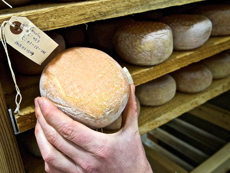 The Natural Rind Cave, Murray's Cheese Long Island City