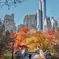 Central Park, Manhattan