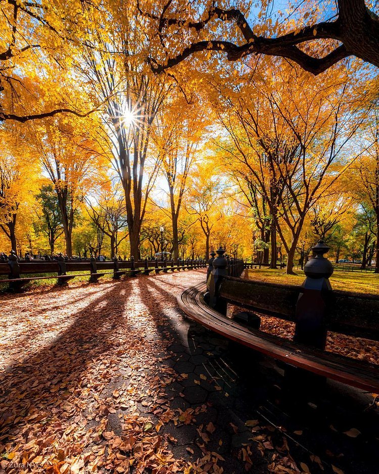 Central Park Mall, New York, New York