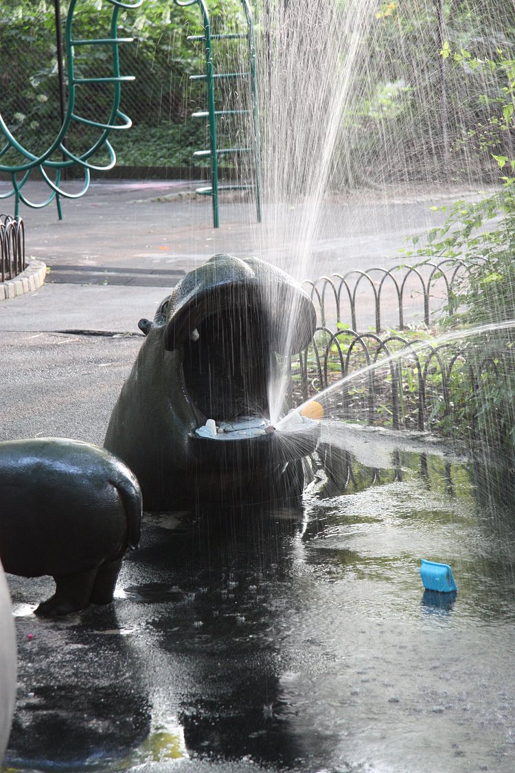 Hippo Playground | Last day of Pre-School