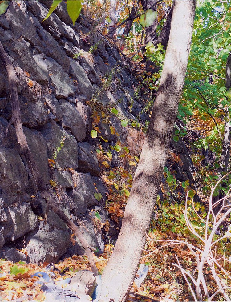 On Coogan's Bluff App