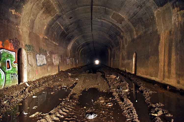 The complicated history of the Port Morris Branch, a decommissioned rail line in the South Bronx, has recently been brought back into the spotlight.