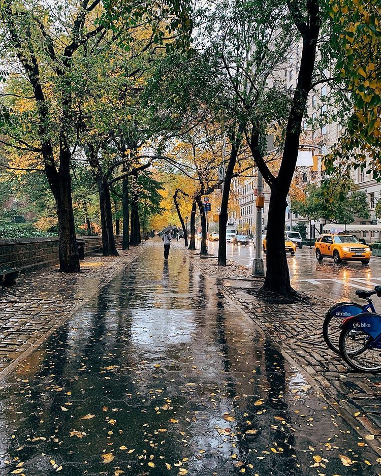 Central Park, New York