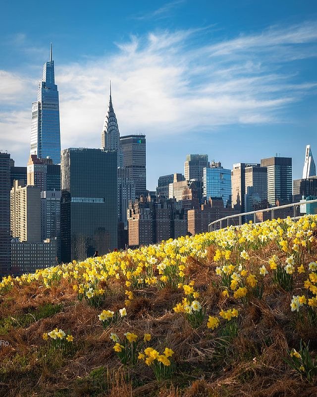 Spring in New York City