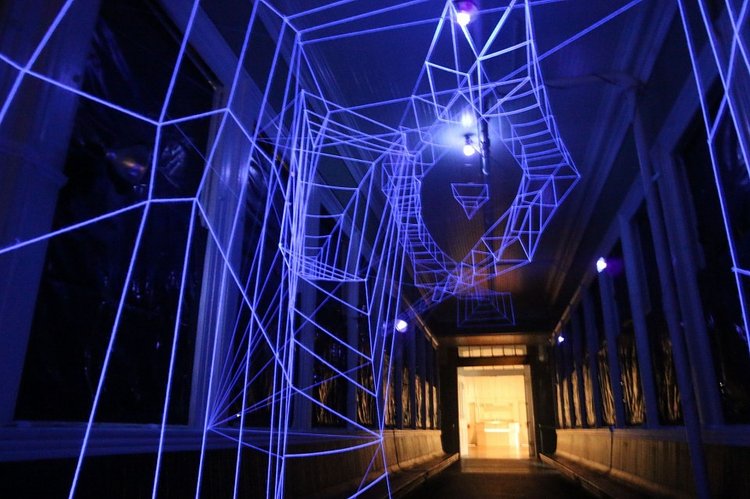 Sabrina Barrios' "Coup d'Etat: How to Resist" in Shinbone Alley of Snug Harbor leads visitors on a surreal, dark pathway through the rest of the "Eutopia" exhibition.