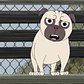 Dogs in a Park, clip from episode 5