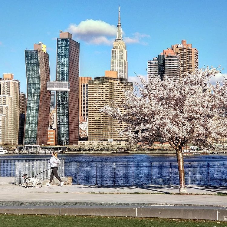 Midtown East, Manhattan from Long Island City, Queens