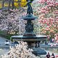 Bethesda Fountain, Central Park, Manhattan