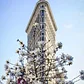 Flatiron Building, Flatiron District, Manhattan