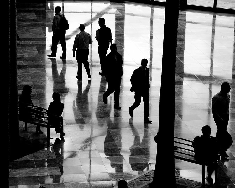 Reflections, silhouettes and trees