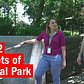 Secrets of Central Park | Part 2