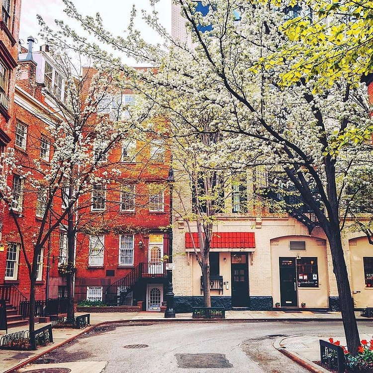 Photo via @travelinglens 
#viewingnyc