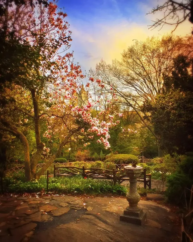 Shakespeare's Garden, Central Park, Manhattan 