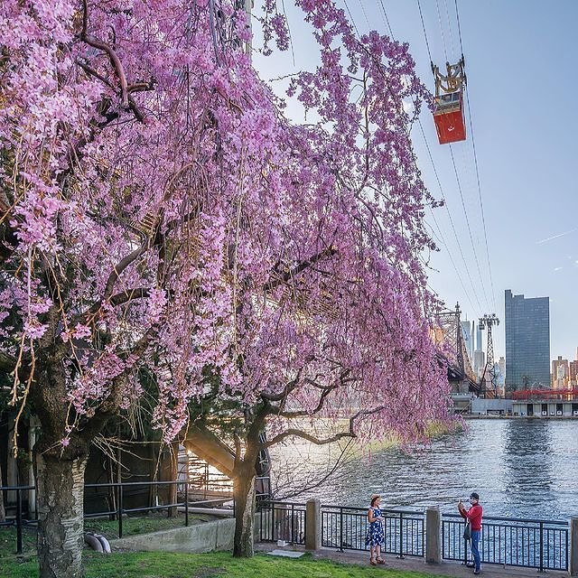 Roosevelt Island, Manhattan