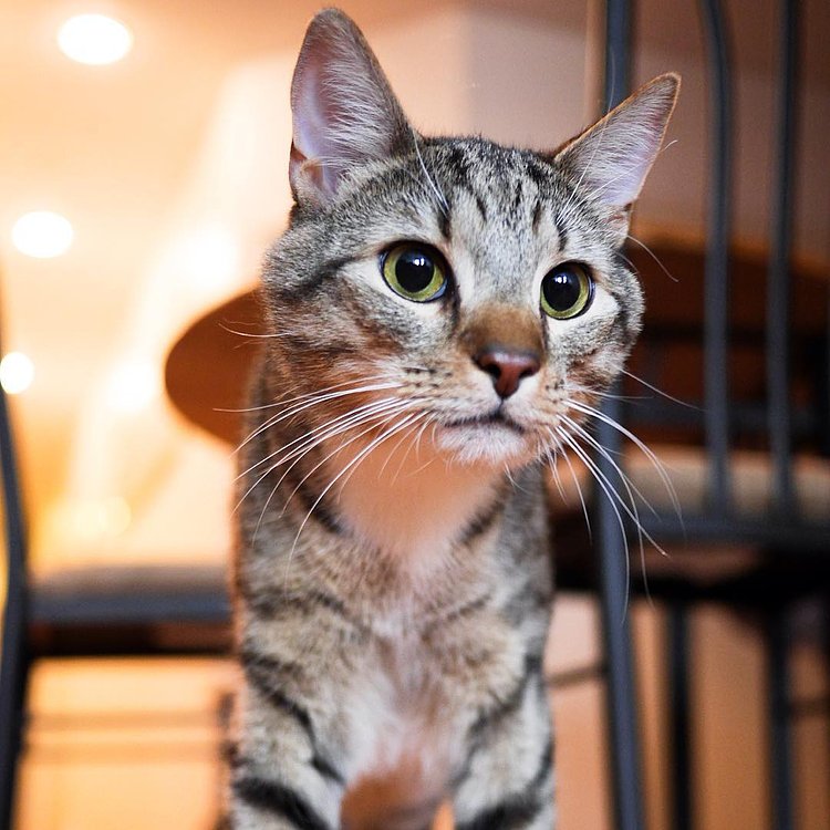 “I’m a little worried about entering the current job market. I just don’t think I have the work experience everyone is looking for. I don’t even have a resume. I know this sounds vain, but I’ll have to rely on my youth and good looks to stay afloat for as long as I can.”
“I think you’ll be fine. Nobody expects you to work.”
“Oh. That’s right.”
- Margaux, Lower East Side