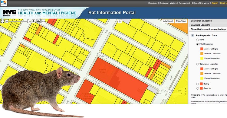 Department of Health and Mental Hygiene's Rat Information Portal