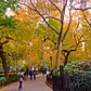 Madison Square Park
