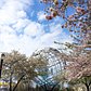 The Unisphere, Flushing Meadows-Corona Park, Queens