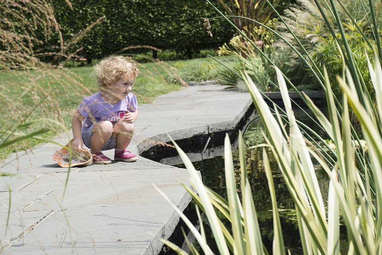 Wave Hill | Photo: Brent Terry for The Bronx Bohemian / Viewing NYC