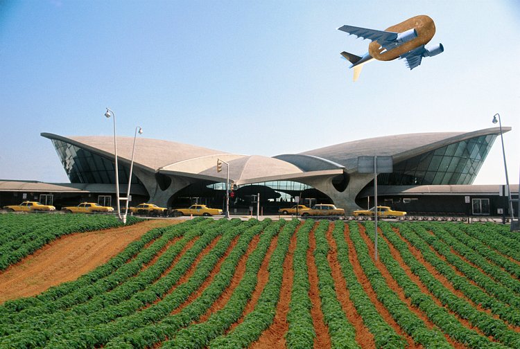 JetBlue Opened a Potato Farm at JFK Airport