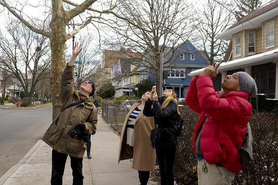 Baldwin, left, points out the location of several bird nests above on a tour March 5, 2016.