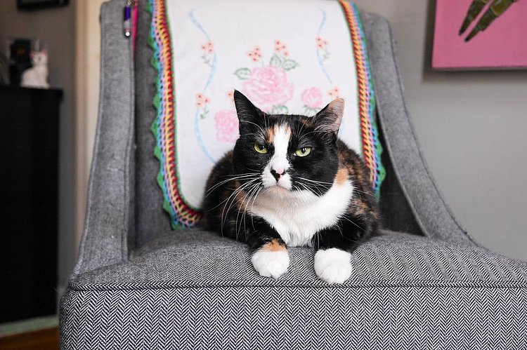 “Every afternoon I sit in this chair for three hours, then fall asleep on the couch for two hours. I stick to a pretty rigid schedule throughout the day actually. At night is when it all goes to hell. I’m pretty unpredictable after 1 a.m., but aren’t we all?” - Margot, Sunset Park