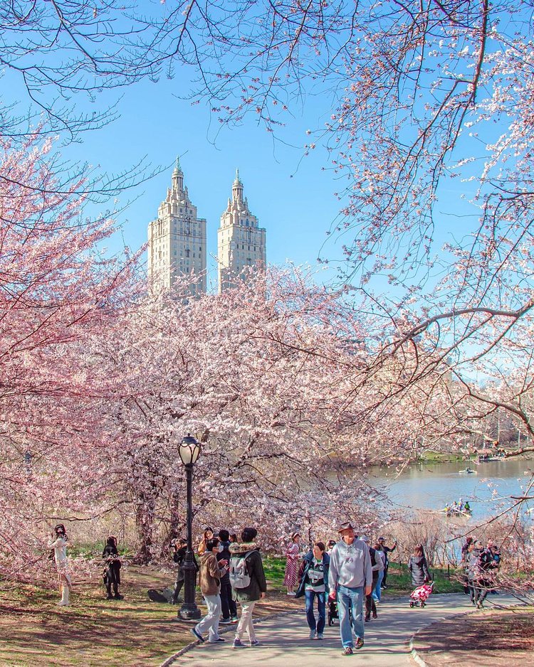 Central Park, Manhattan