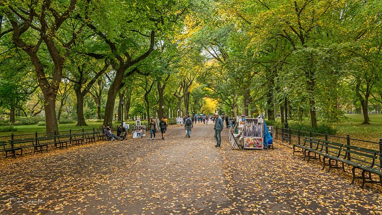 The Mall in Central Park