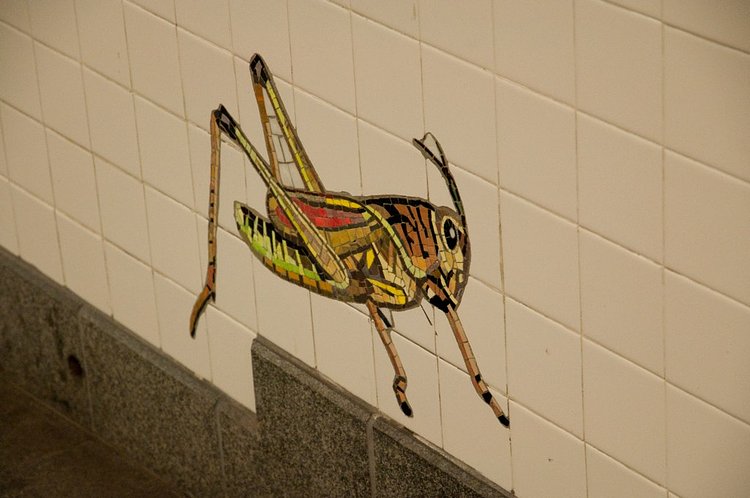 Cricket Subway | A mosaic of a Cricket at the 81st Street Subway Station.