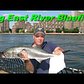 Urban Angler - NYC East River Bluefish Fishing