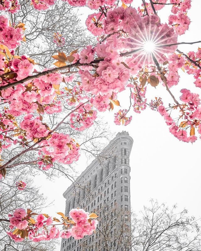 Flatiron Building, Flatiron District, Manhattan