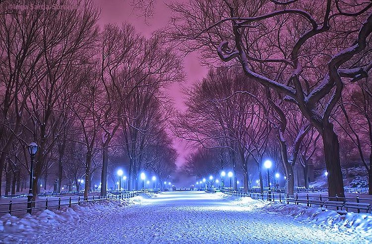Central Park is beautiful &amp; peaceful in the night snow. #NYC #winter http://t.co/4ieUQEY5RT