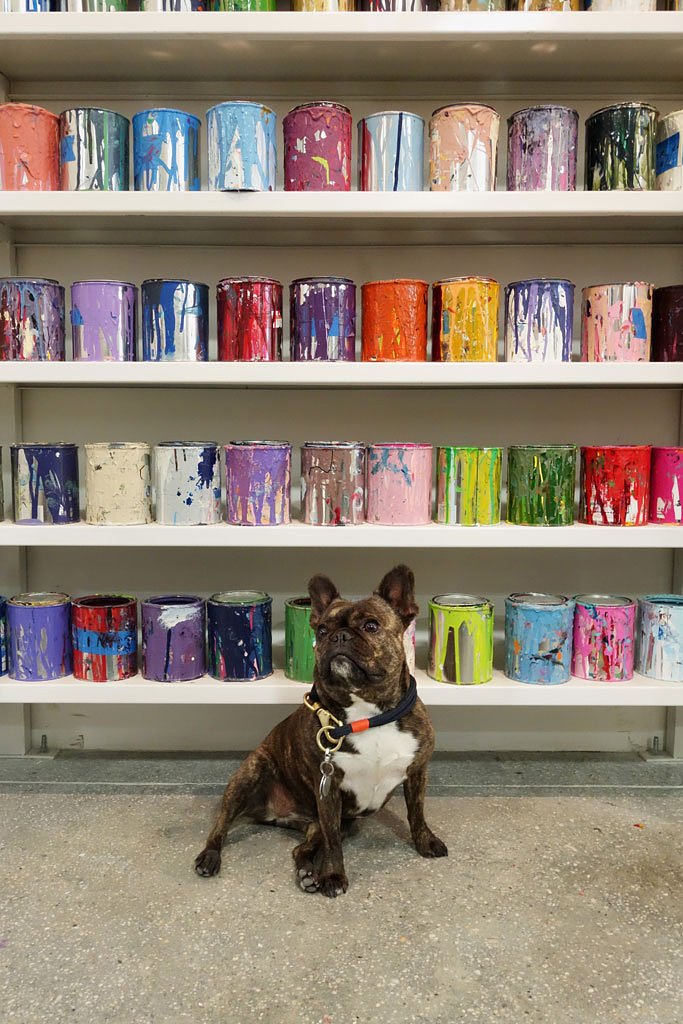 I’m sexy and I know it…