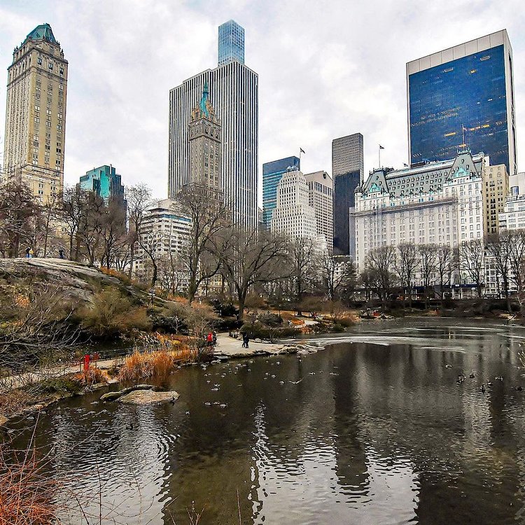 The Pond at Central Park, Manhattan