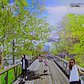 Hudson River Park Pier 26 Forest Walk rendering