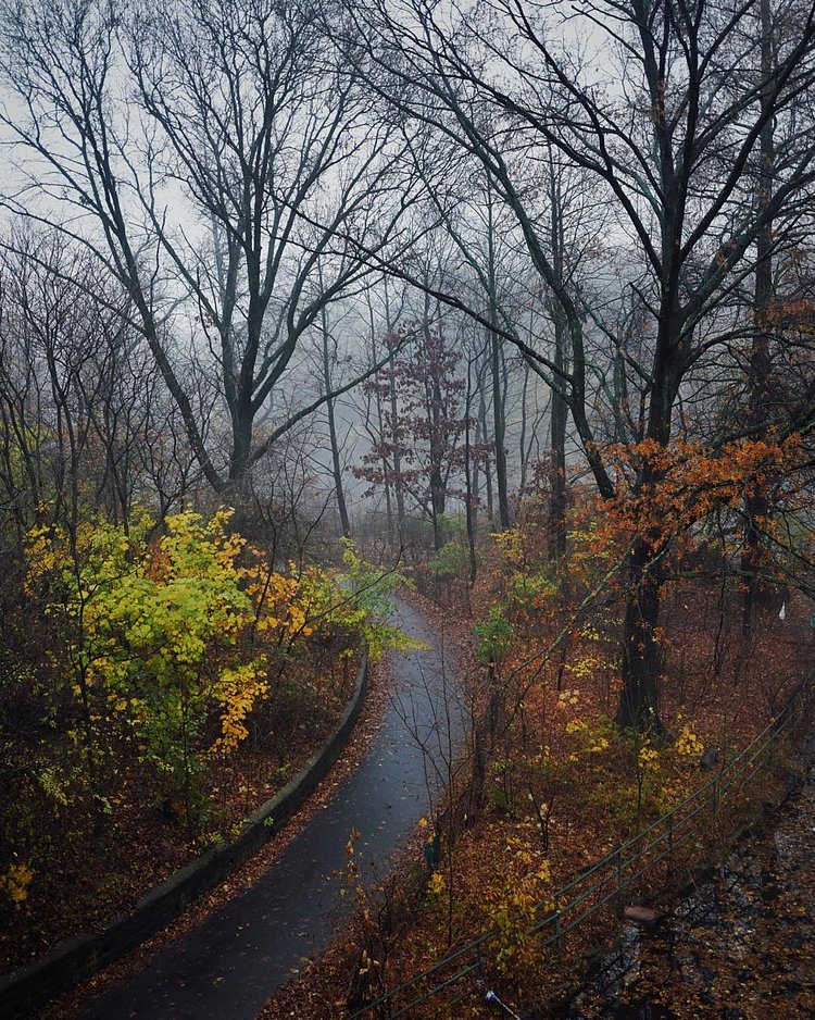 I never acknowledged it last week but I just wanted to take a moment and say thanks for the 500k - who knew (certainly not me!) 5 years ago that a little iPhone app called @instagram would have such a direct impact on my life and work. You guys are a constant source of inspiration - the creativity and positivity of this community is truly amazing and despite all of the changes I'm still as excited today as I was on day one that I get to share this crazy journey with you ✨🙌🏻