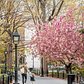 Washington Square Park, Greenwich Village, Manhattan