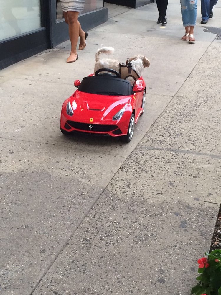 Seen on Madison Ave & 80th - Owner was driving "Louie V" via remote control