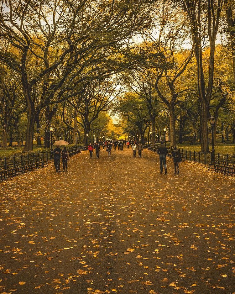 "Fall Fever! 🍁 In New York, romance is alive all year long. 🍂 🍁 💛  "